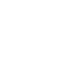 3l icon
