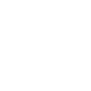 3l icon
