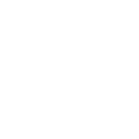 3l icon