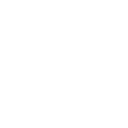 3l icon