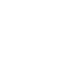 3l icon